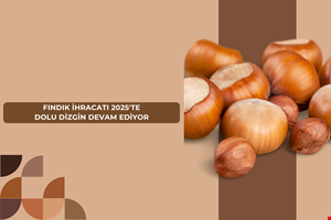 FINDIK İHRACATI 2025'TE DOLU DİZGİN DEVAM EDİYOR